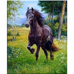 New Hot Sale Embroidery Animal Horse Full Drill - 5D Diy 
