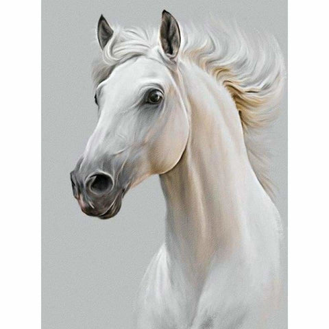 New Hot Sale Horse Pattern Diamond Painting Kits VM20005 - 3