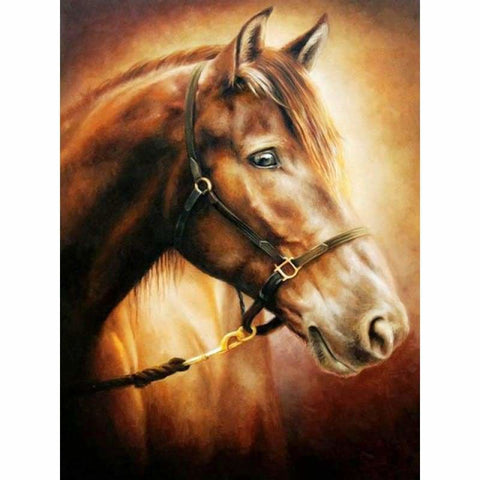 New Hot Sale Horse Pattern Diamond Painting Kits VM20007 - 3