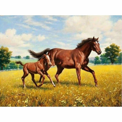 New Hot Sale Horse Picture Full Drill - 5D Diy Diamond 