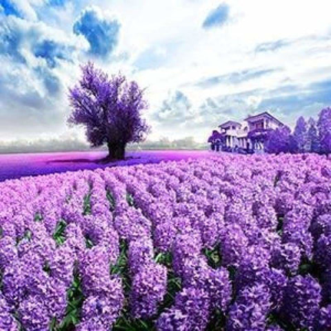 New Hot Sale Lavender Fields Picture Full Drill - 5D Diamond