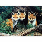 New Hot Sale Mosaic Decor Animal Fox Full Drill - 5D DIY 