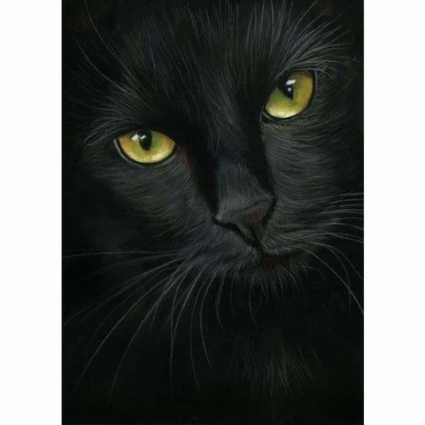 New Hot Sale Mysterious Black Cat Full Drill - 5D Square 