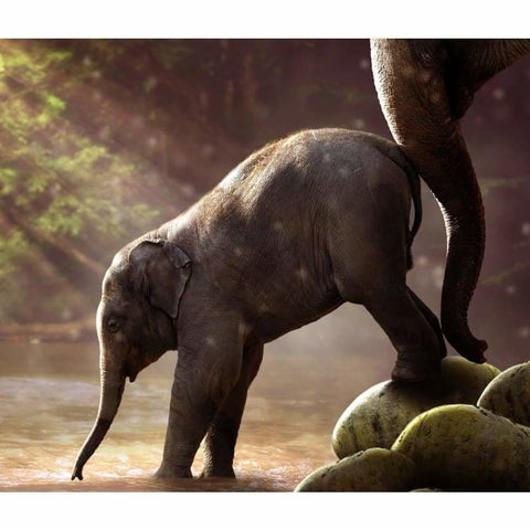 New Hot Sale Wall Decor Elephants Full Drill - 5D Diy 