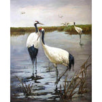 Full Drill - 5D Diamond Painting Kits Crowned Cranes in the Lake - NEEDLEWORK KITS