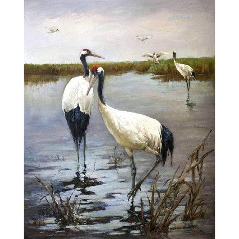 Full Drill - 5D Diamond Painting Kits Crowned Cranes in the Lake - NEEDLEWORK KITS