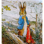 Peter Rabbit - NEEDLEWORK KITS