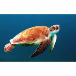Turtle in ocean-   Full Drill Diamond Painting - NEEDLEWORK KITS